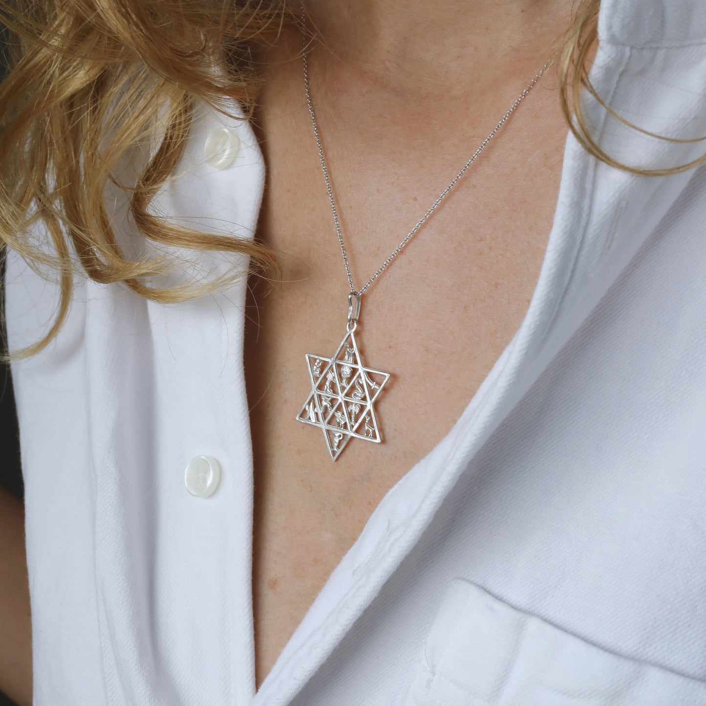 Sterling Silver Pendant  with symbol of 12 Israeli Tribes